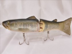 Flash carp
