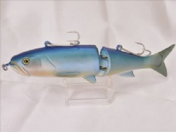 Blue back salmon (2009 Member limited color)