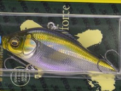 HT Ito Tennessee shad