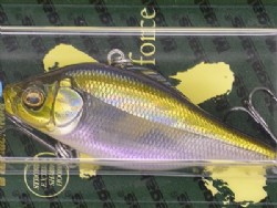 HT Ito Tennessee shad
