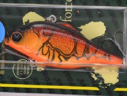 Wild craw