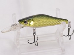 GG moss back golden shad