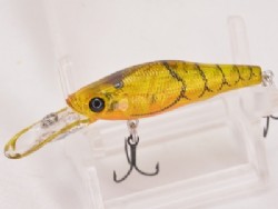 Megabass shrimp