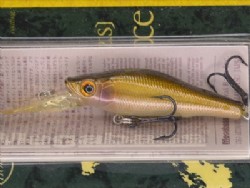 SG kawamutsu (Package damaged)
