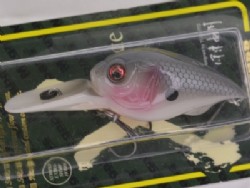 Gizzard shad (Bone model)