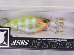 POL chart back blue gill