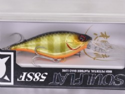 SK champagne gold gill