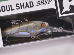 Sight soko ebi Type-2 (Shrimp custom model)
