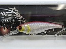 Cotton shad