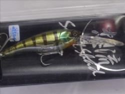 Jakkou gill