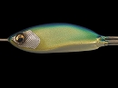 Blue back lime chart