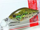 Bass