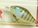 Ghost gill