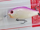 Purple back bone