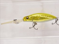 GG golden chart bass