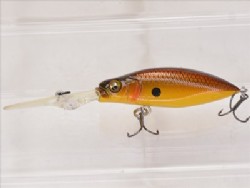 Komorin copper shad