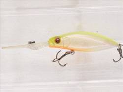PM hot shad