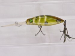 Glass shrimp