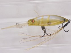 Shirasa ebi