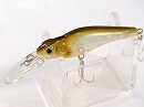 Hologram shad