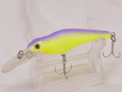 Sparkling purple shad