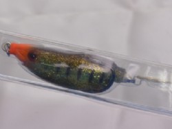 Wild gill