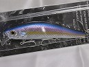 American shad (#75)