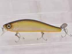 Holizon shad