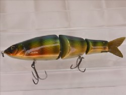 Blue gill