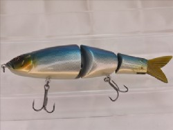 Blue shad