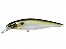 Tennessee shad