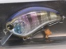 Gill