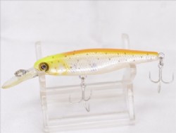 Albino rainbow