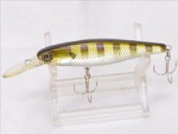 Blue gill