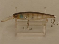 Ghost gill