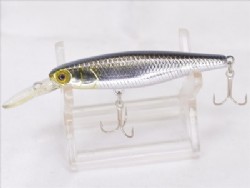 Reservoir shad