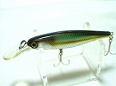 Silver moroko