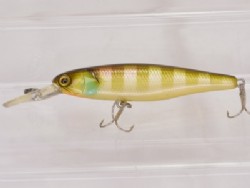 E2 Noike gill