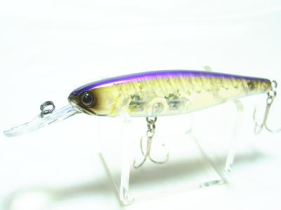 Purple back minnow