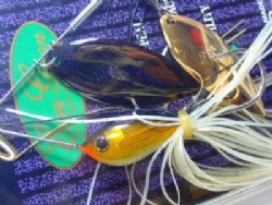 Golden shad (#07) -Double gold & black willow