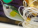 White ayu (#01) -Double gold willow