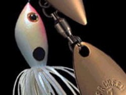 Clown (#109) -Tandem gold willow
