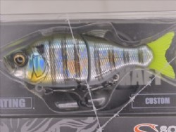Hologram lake gill (Floating)