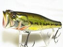 Bass