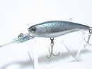Silver shad