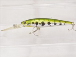 Bass