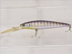 Gill