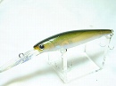 Pearl minnow