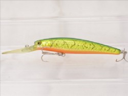 Aurora fire tiger