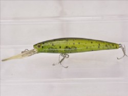 Watermelon seed